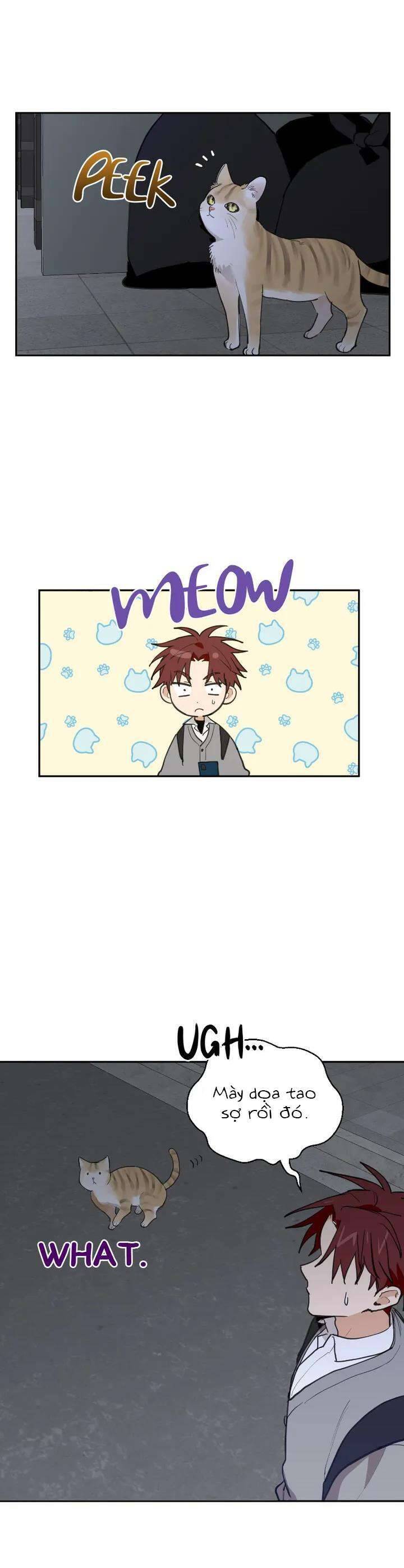 Điều Ước Sao Băng - Chap 18 - Trang 4