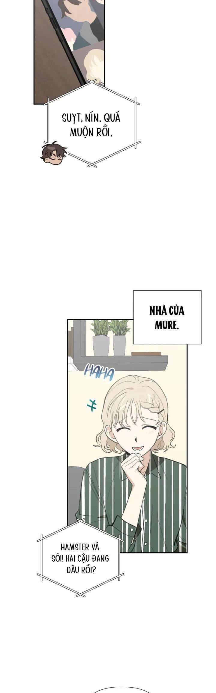 Điều Ước Sao Băng - Chap 23 - Trang 19