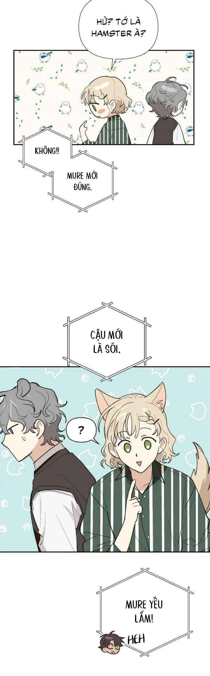 Điều Ước Sao Băng - Chap 23 - Trang 20