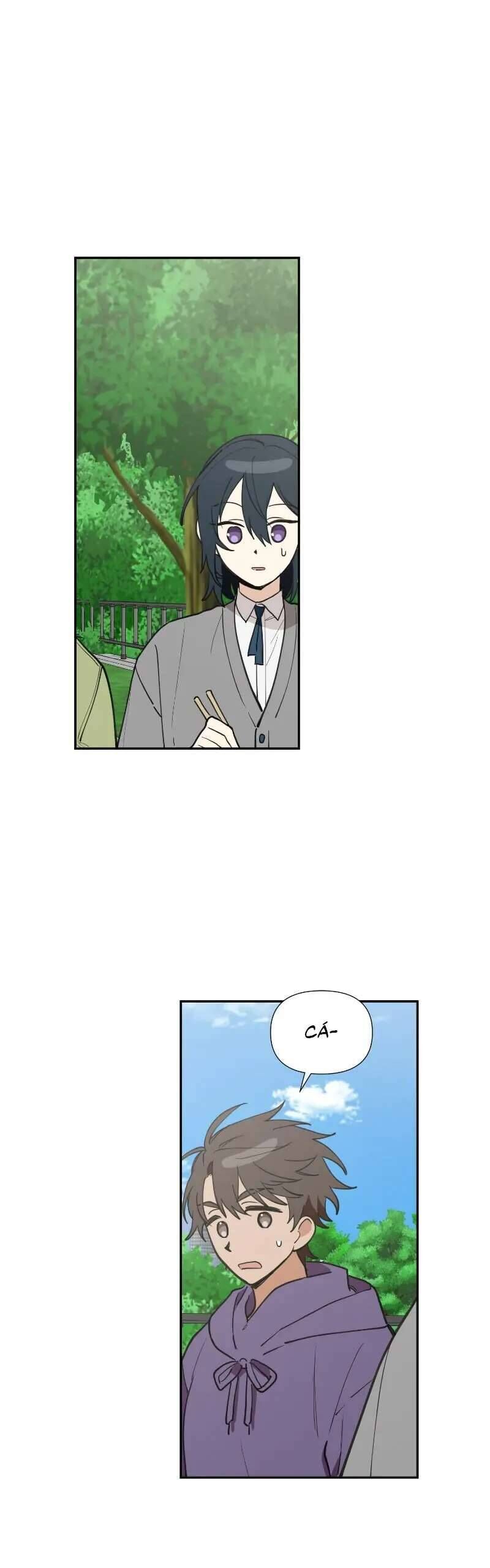 Điều Ước Sao Băng - Chap 29 - Trang 31