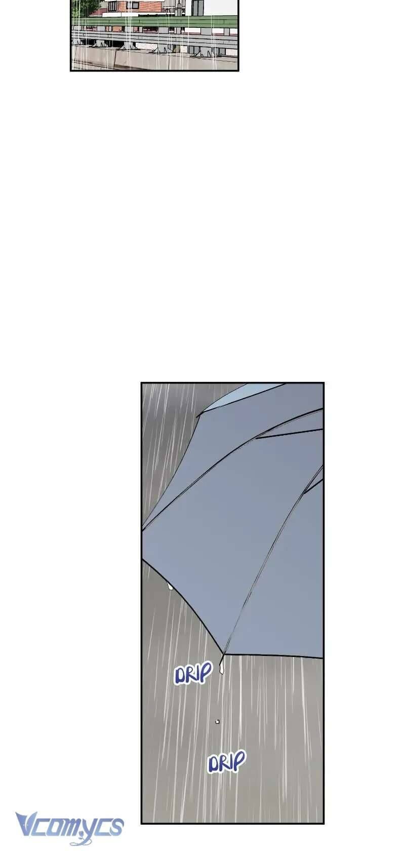 Điều Ước Sao Băng - Chap 31 - Trang 29