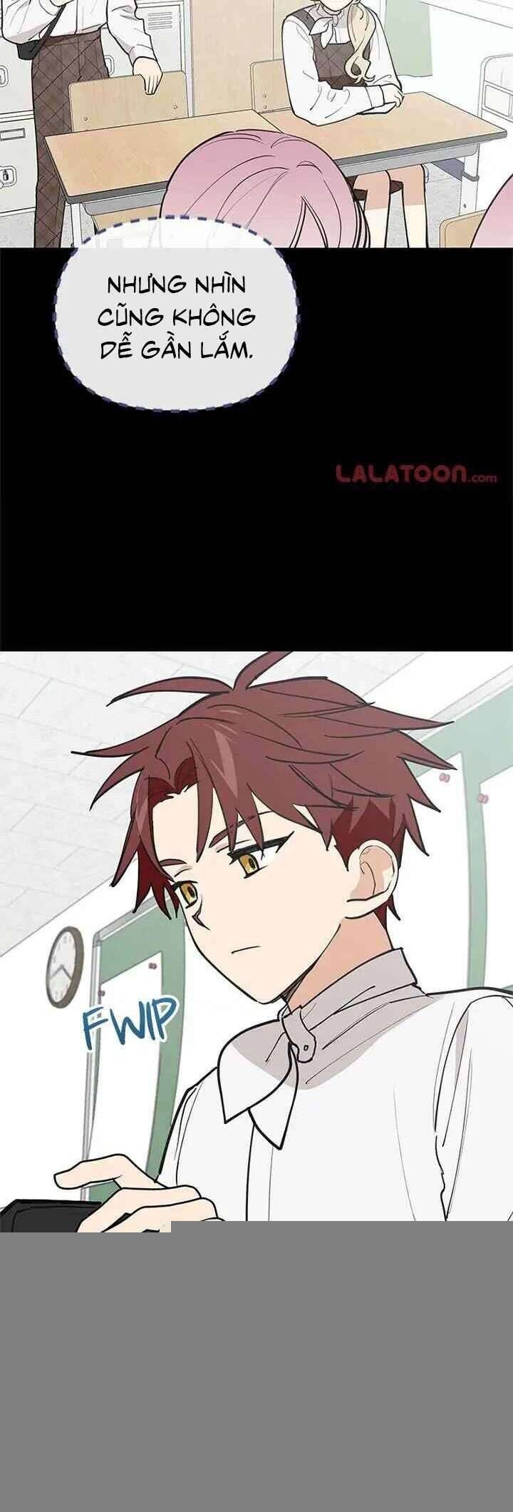 Điều Ước Sao Băng - Chap 42 - Trang 4