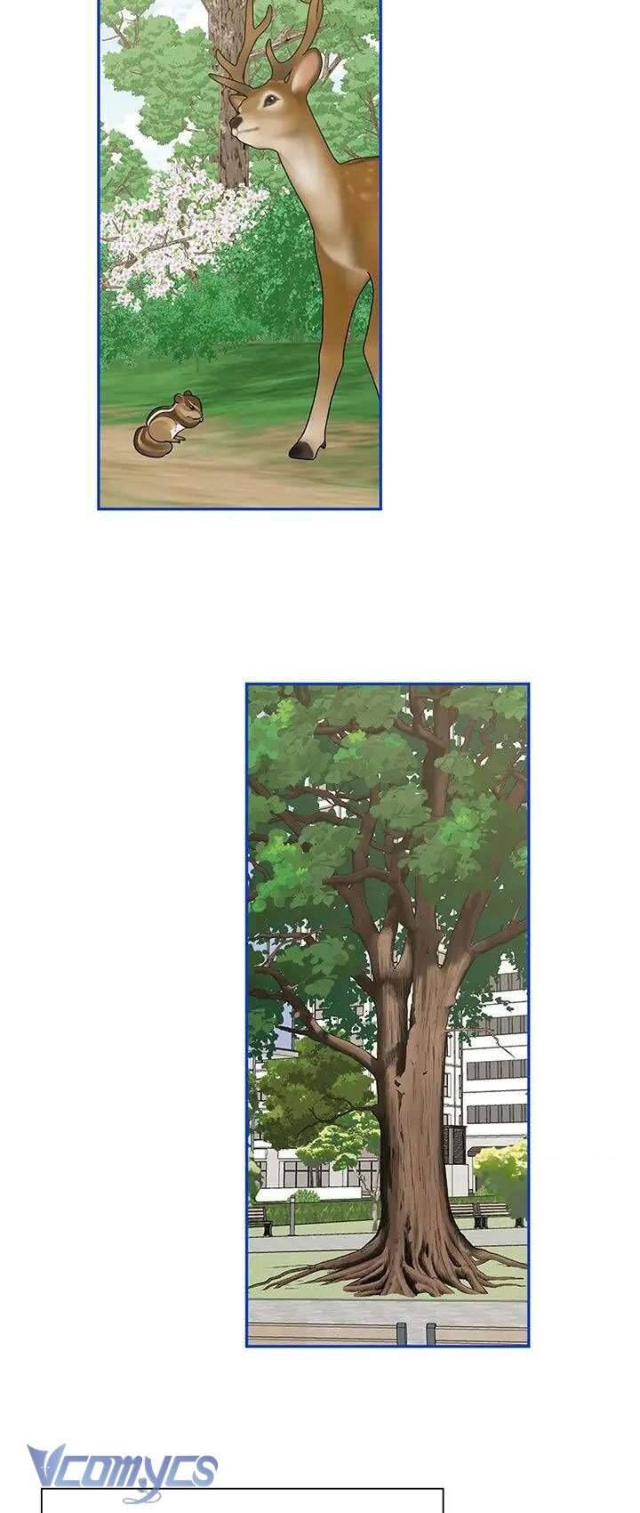 Điều Ước Sao Băng - Chap 50 - Trang 28