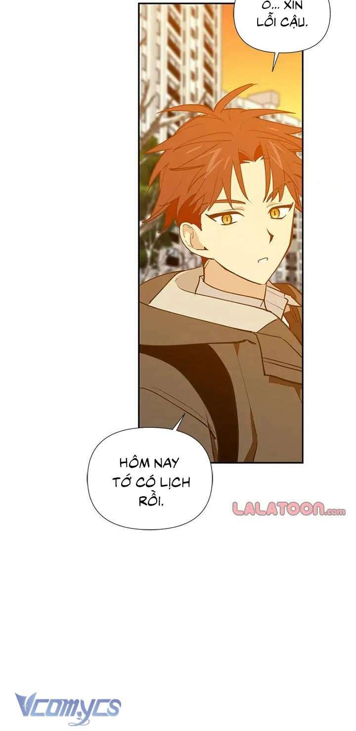 Điều Ước Sao Băng - Chap 55 - Trang 17
