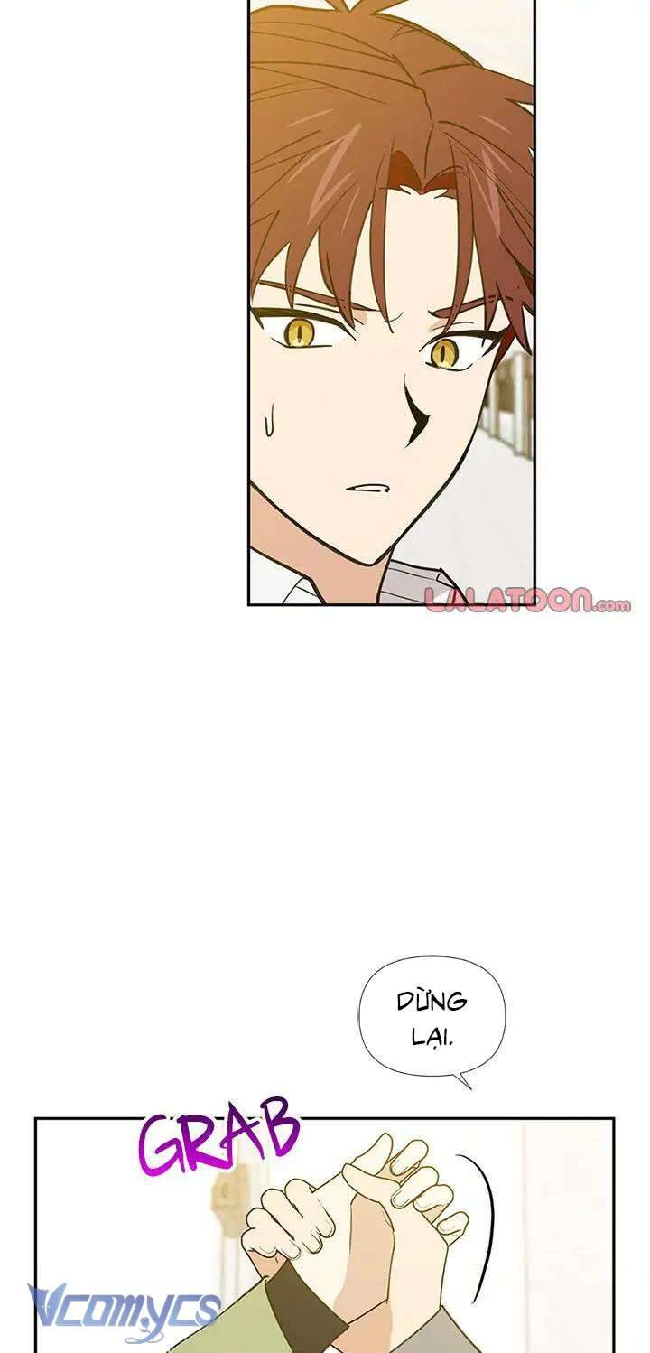 Điều Ước Sao Băng - Chap 56 - Trang 15