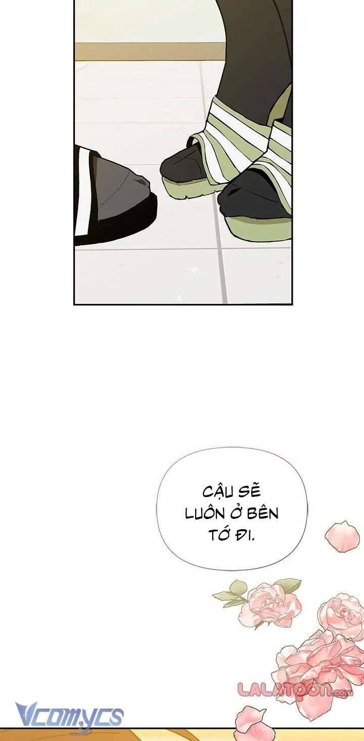 Điều Ước Sao Băng - Chap 56 - Trang 29