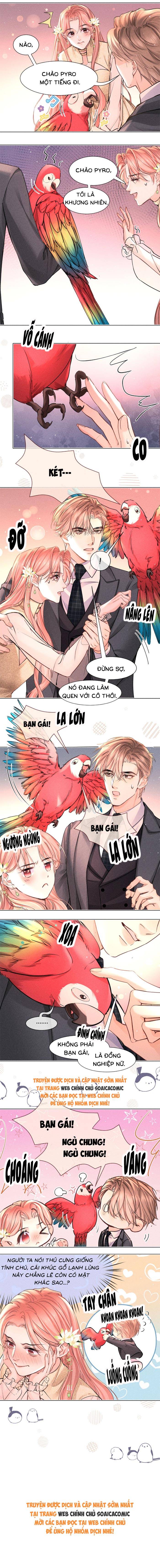 Định Mệnh Sau Cú Đấm Nhầm - Chap Định Mệnh Sau Cú [...] – Chap 31 - Trang 5