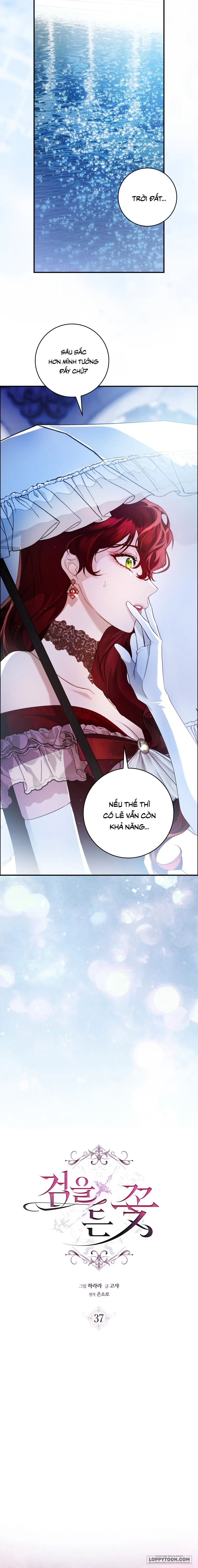 Đóa Hoa Cầm Kiếm - Chap 37 - Trang 4