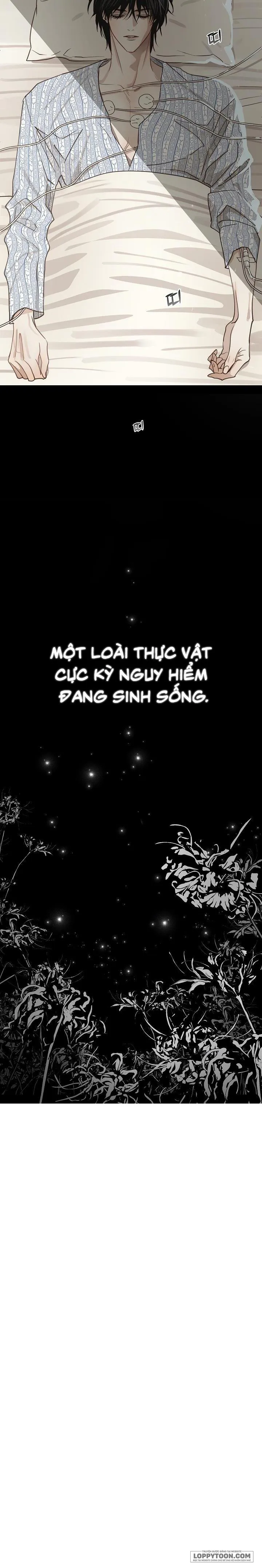 Đóa Hoa Là Mồi Nhử - Chap 1 - Trang 28