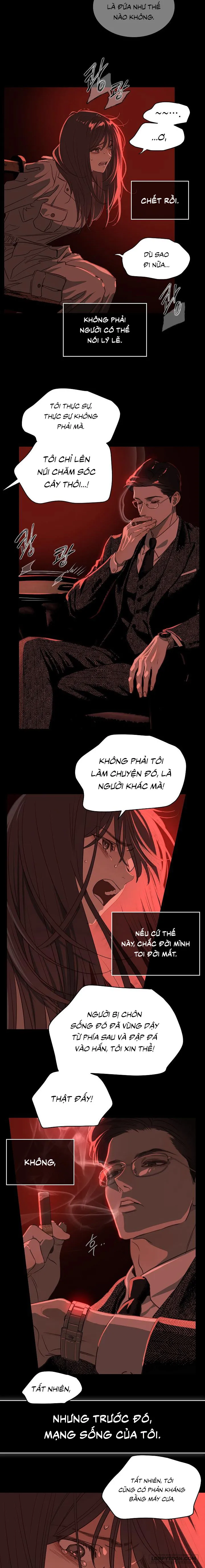 Đóa Hoa Là Mồi Nhử - Chap 2 - Trang 7