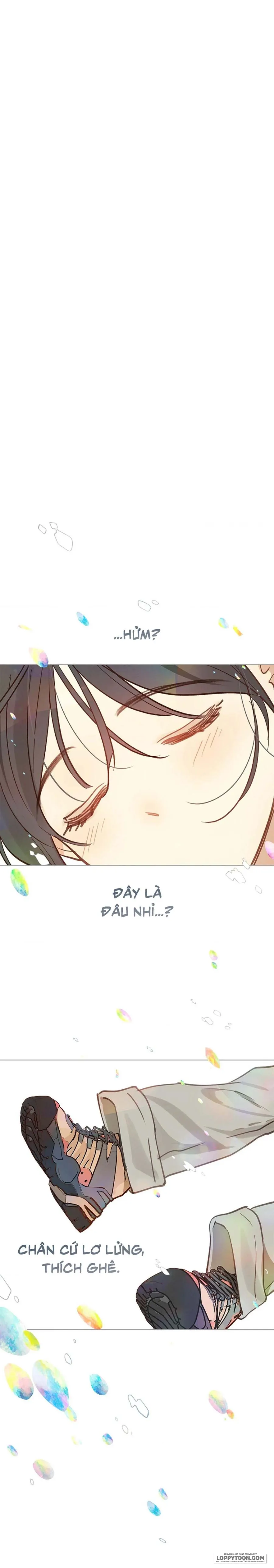 Đóa Hoa Là Mồi Nhử - Chap 23 - Trang 5