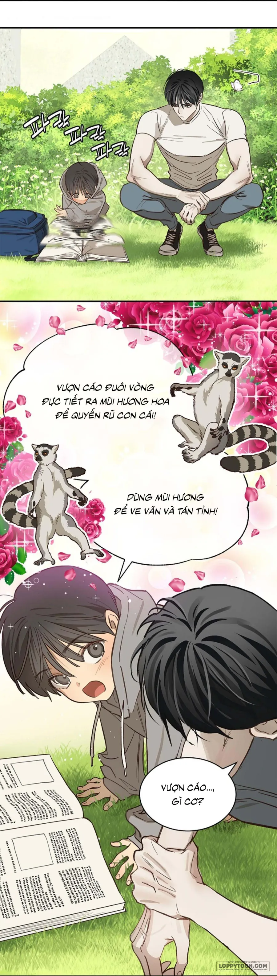 Đóa Hoa Là Mồi Nhử - Chap 25 - Trang 4