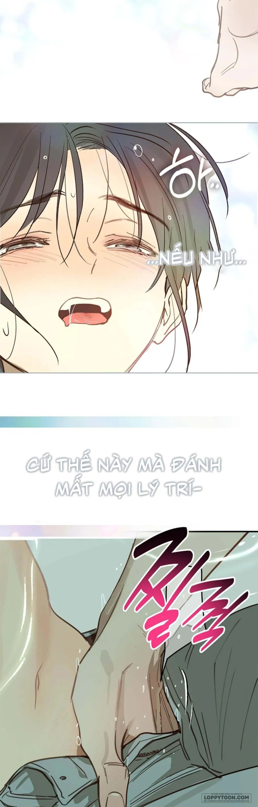 Đóa Hoa Là Mồi Nhử - Chap 30 - Trang 26