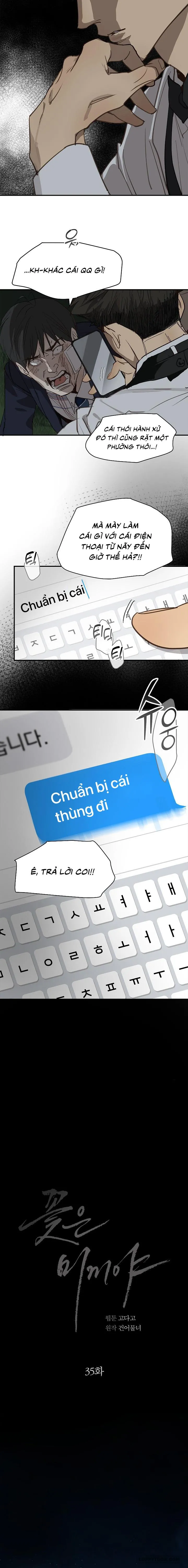 Đóa Hoa Là Mồi Nhử - Chap 35 - Trang 16
