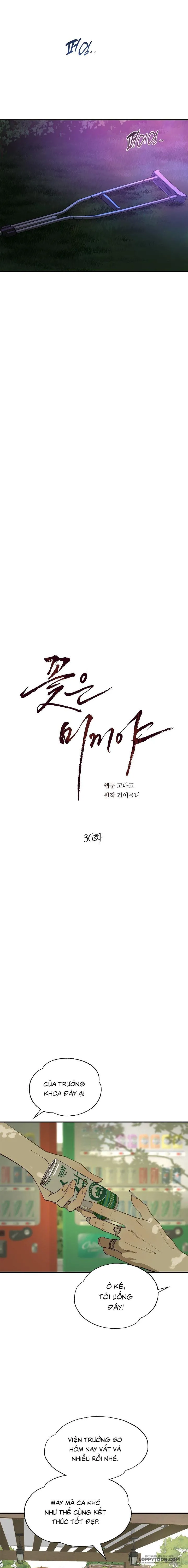 Đóa Hoa Là Mồi Nhử - Chap 36 - Trang 10