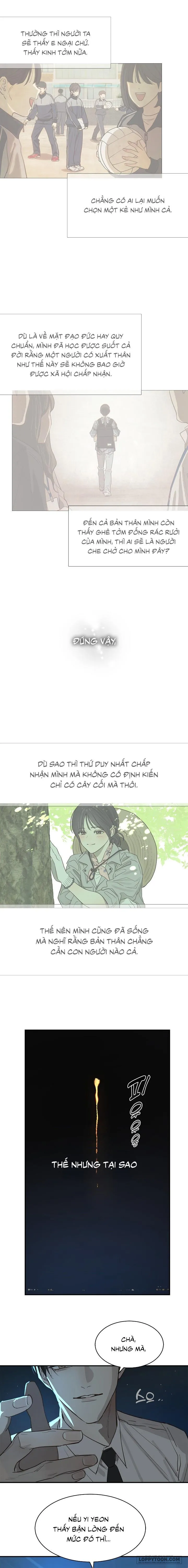 Đóa Hoa Là Mồi Nhử - Chap 36 - Trang 5