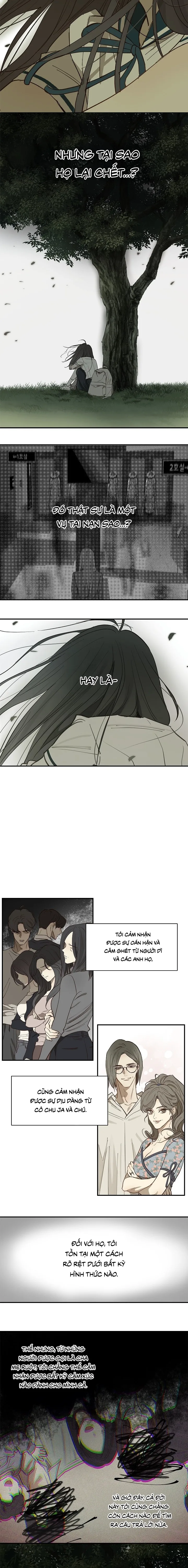 Đóa Hoa Là Mồi Nhử - Chap 37 - Trang 4