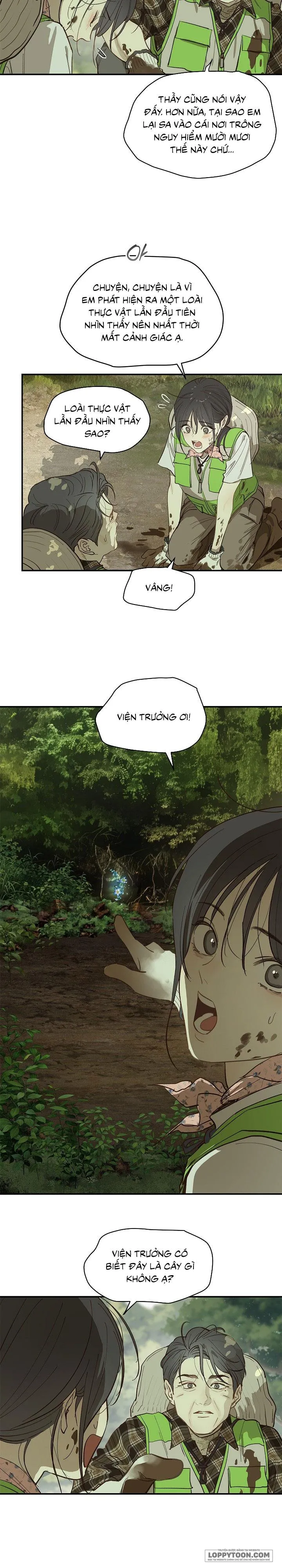 Đóa Hoa Là Mồi Nhử - Chap 38 - Trang 18