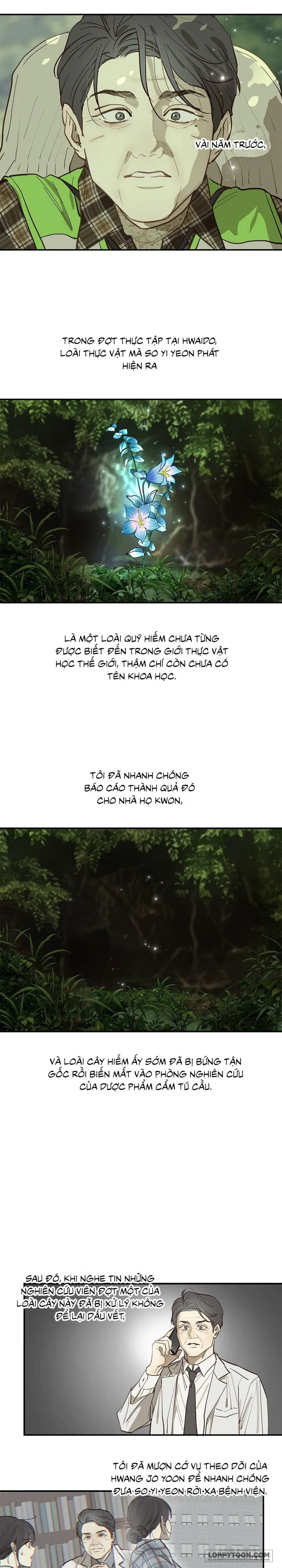 Đóa Hoa Là Mồi Nhử - Chap 38 - Trang 19