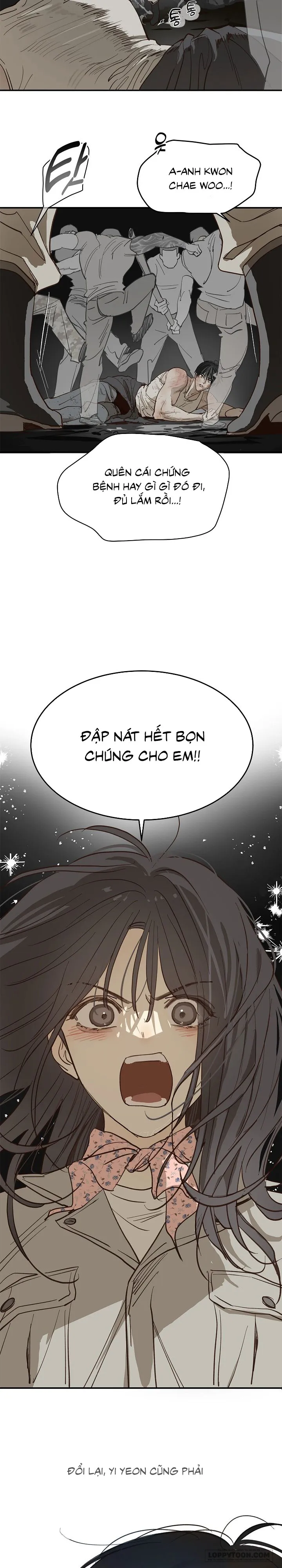 Đóa Hoa Là Mồi Nhử - Chap 41 - Trang 19