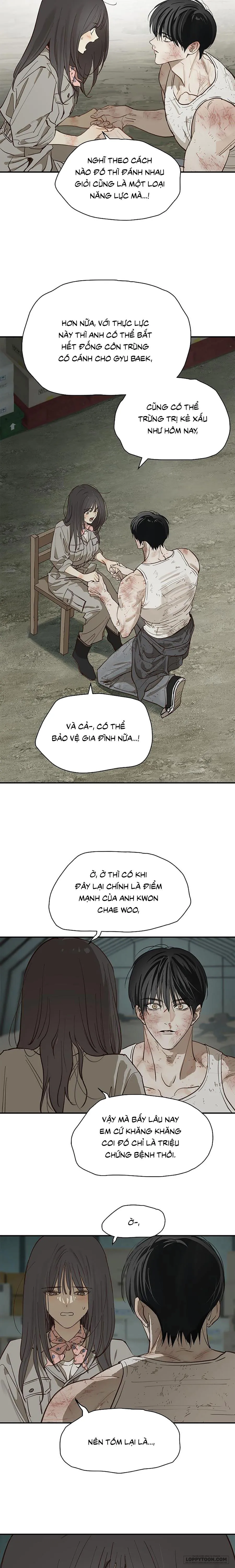 Đóa Hoa Là Mồi Nhử - Chap 42 - Trang 2