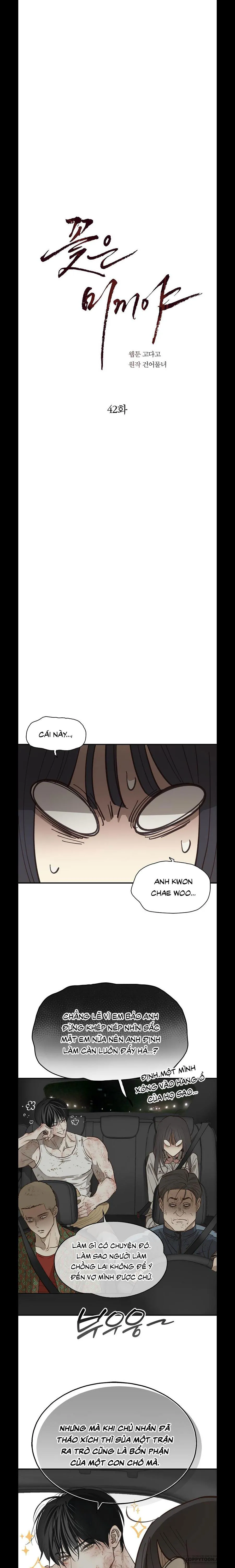 Đóa Hoa Là Mồi Nhử - Chap 42 - Trang 8