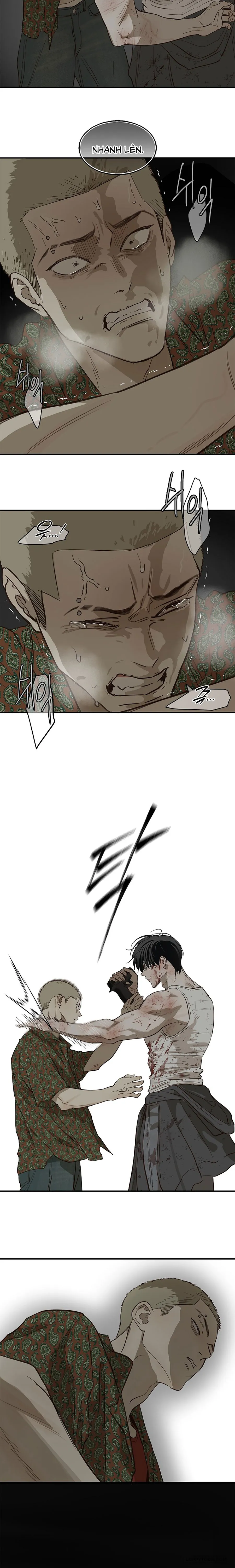Đóa Hoa Là Mồi Nhử - Chap 43 - Trang 8