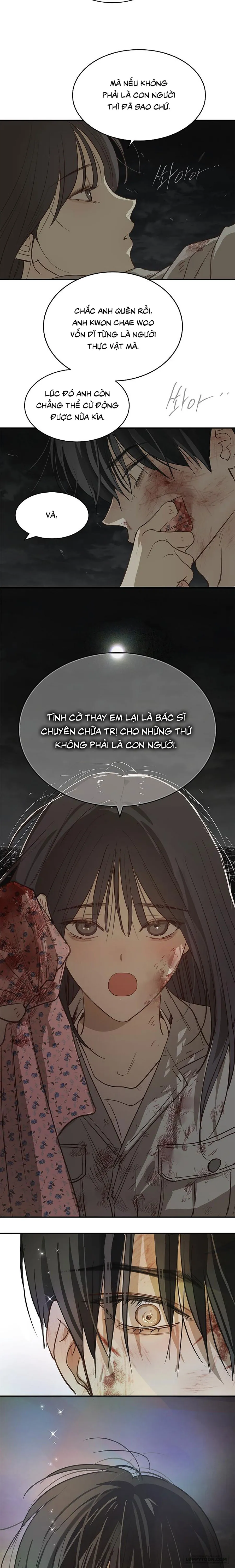 Đóa Hoa Là Mồi Nhử - Chap 44 - Trang 5