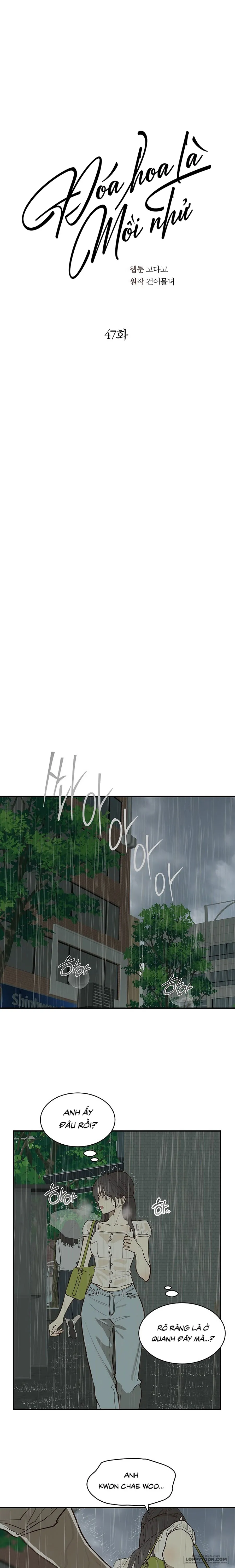 Đóa Hoa Là Mồi Nhử - Chap 47 - Trang 0
