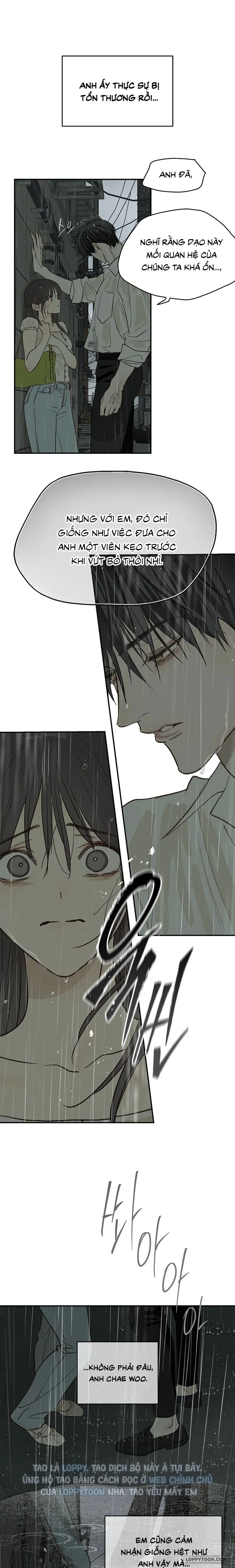 Đóa Hoa Là Mồi Nhử - Chap 47 - Trang 4