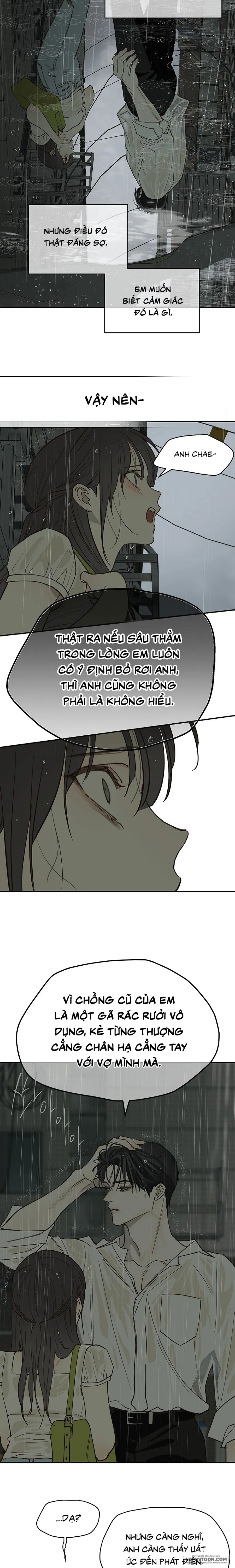 Đóa Hoa Là Mồi Nhử - Chap 47 - Trang 5