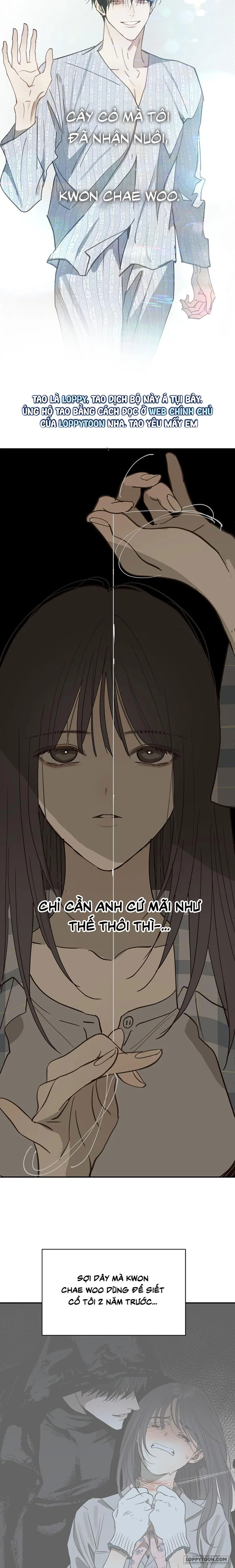 Đóa Hoa Là Mồi Nhử - Chap 51 - 🔞🔞🔞