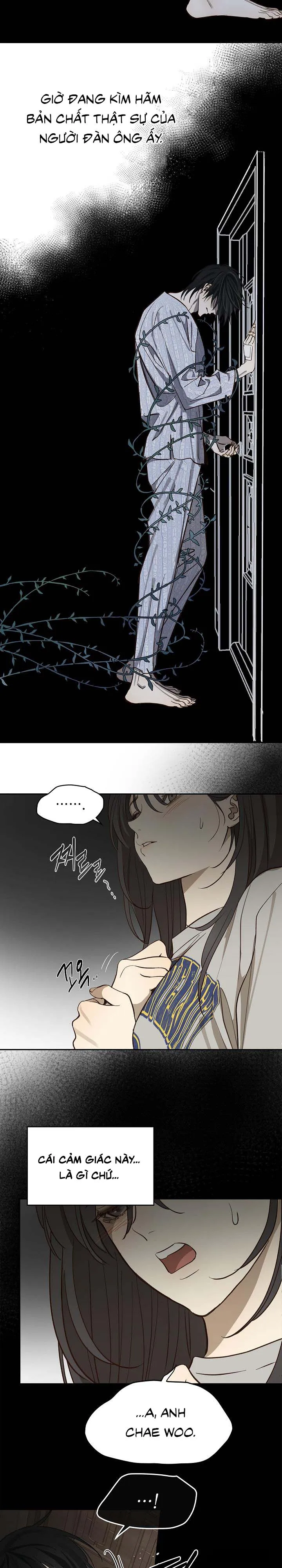 Đóa Hoa Là Mồi Nhử - Chap 8 - Trang 17
