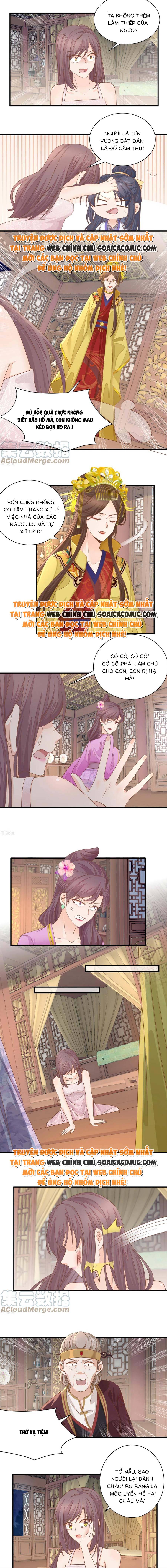 Độc Phi Trùng Sinh Báo Thù - Chap Độc Phi Trùng Sinh [...] – Chap 24