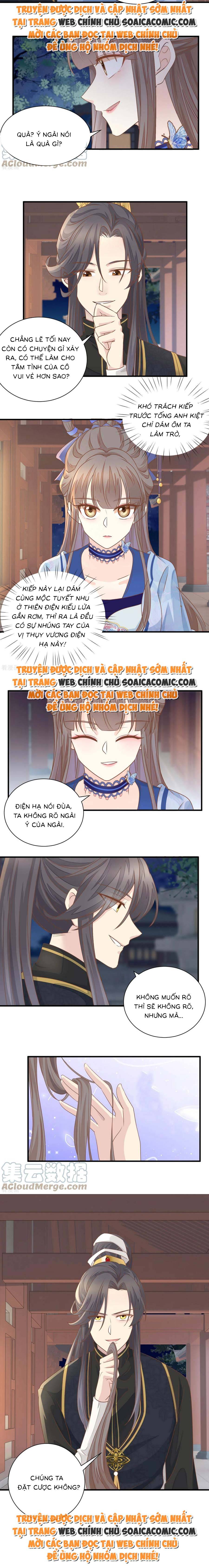 Độc Phi Trùng Sinh Báo Thù - Chap Độc Phi Trùng Sinh [...] – Chap 24
