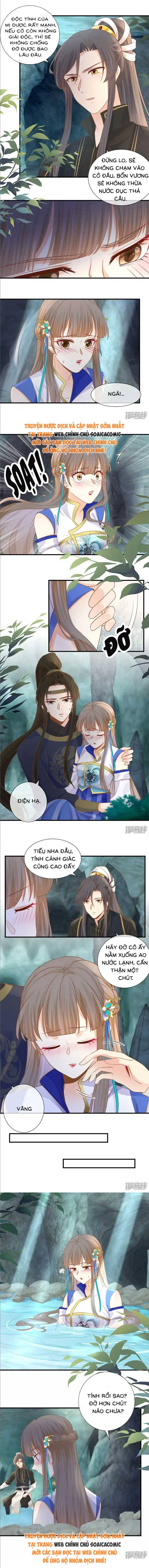 Độc Phi Trùng Sinh Báo Thù - Chap Độc Phi Trùng Sinh [...] – Chap 35