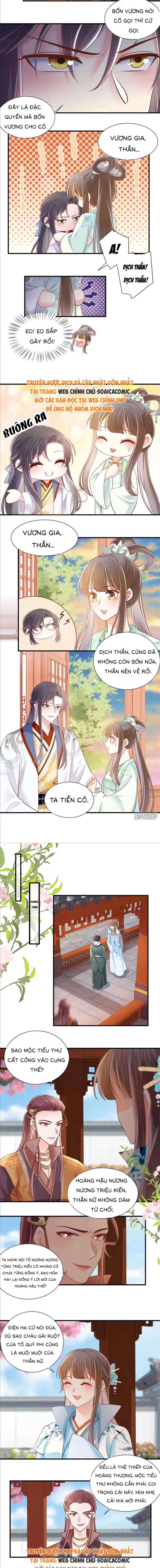 Độc Phi Trùng Sinh Báo Thù - Chap Độc Phi Trùng Sinh [...] – Chap 65