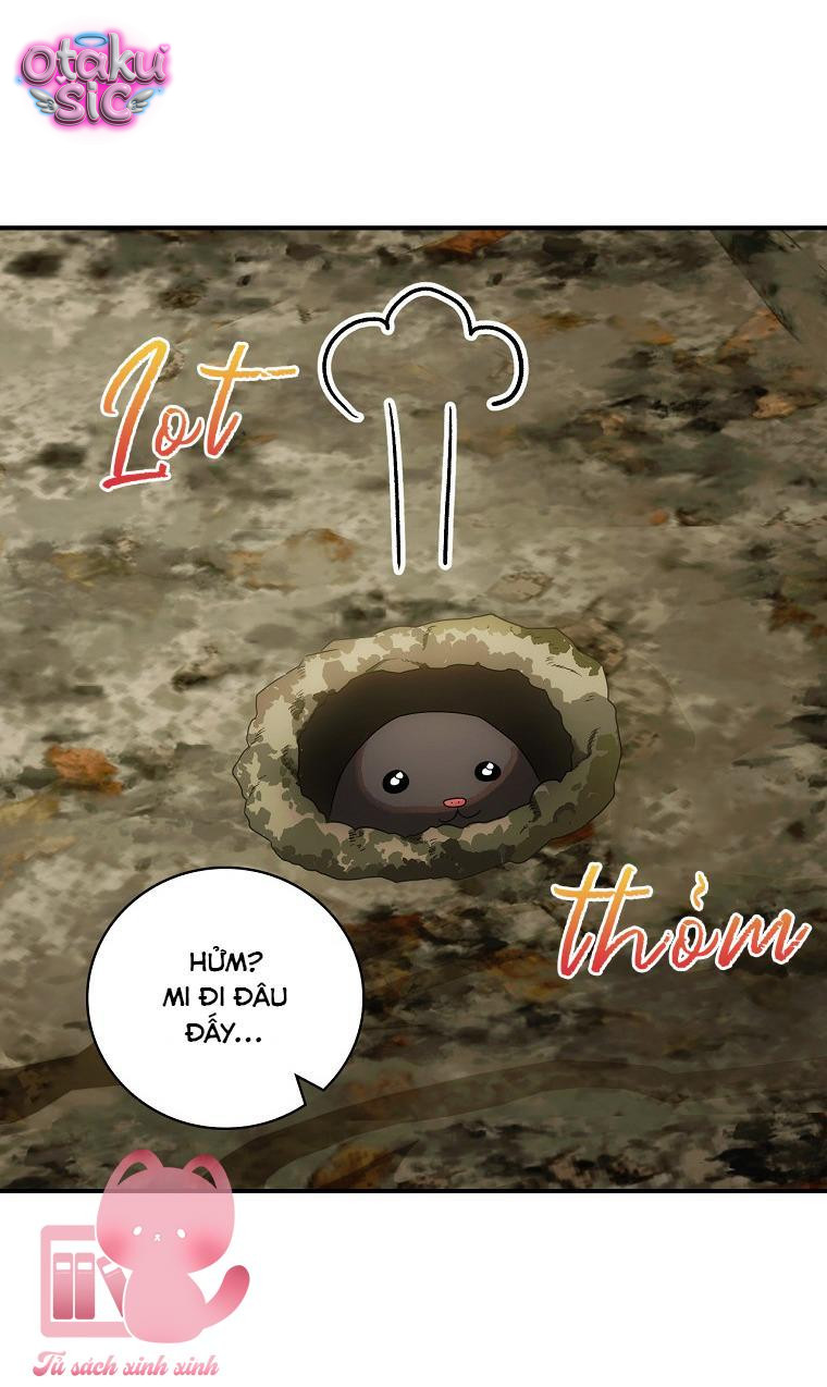 Đứa Nhỏ Không Phải Con Anh - Chap 39