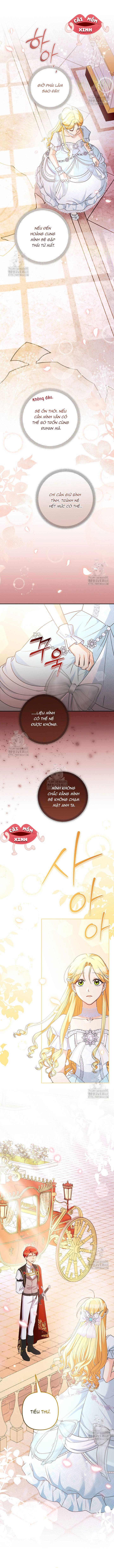 Đừng Cố Chấp Nữa, Chúng Ta Ly Hôn Đi! - Chap Đừng Cố Chấp Nữa, [...] – Chap 5