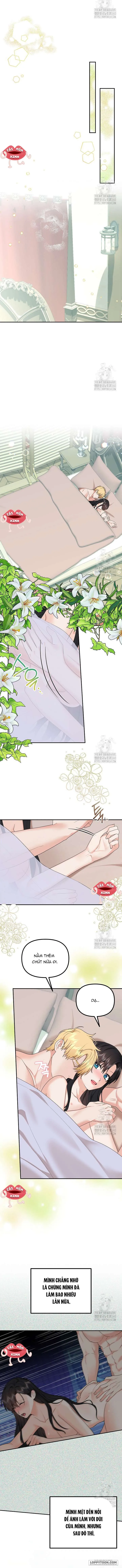 Dũng Sĩ Vị Tha - Chap 40 - Trang 6