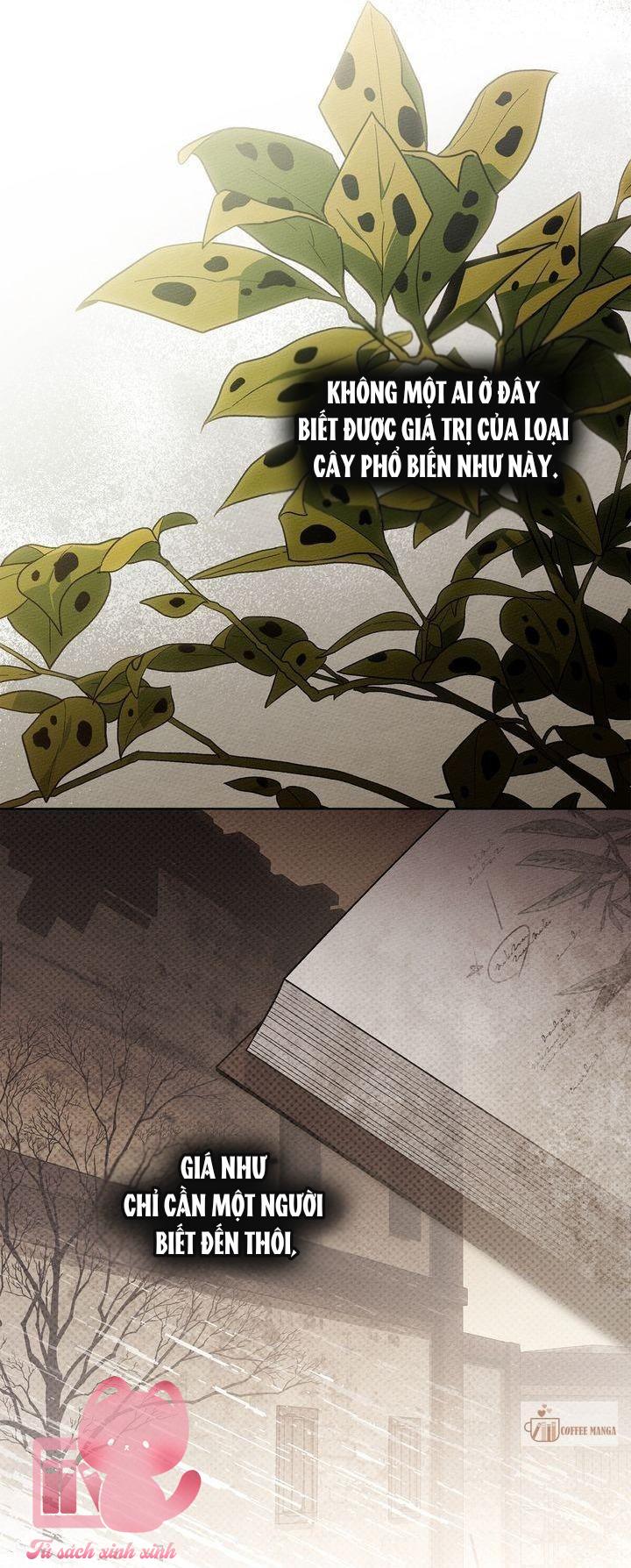 Dưới Tán Cây Sồi - Chap 117 - Trang 14