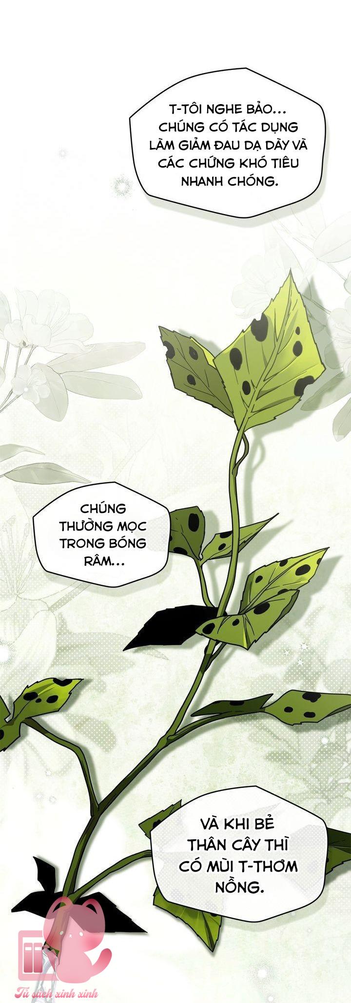 Dưới Tán Cây Sồi - Chap 117 - Trang 6