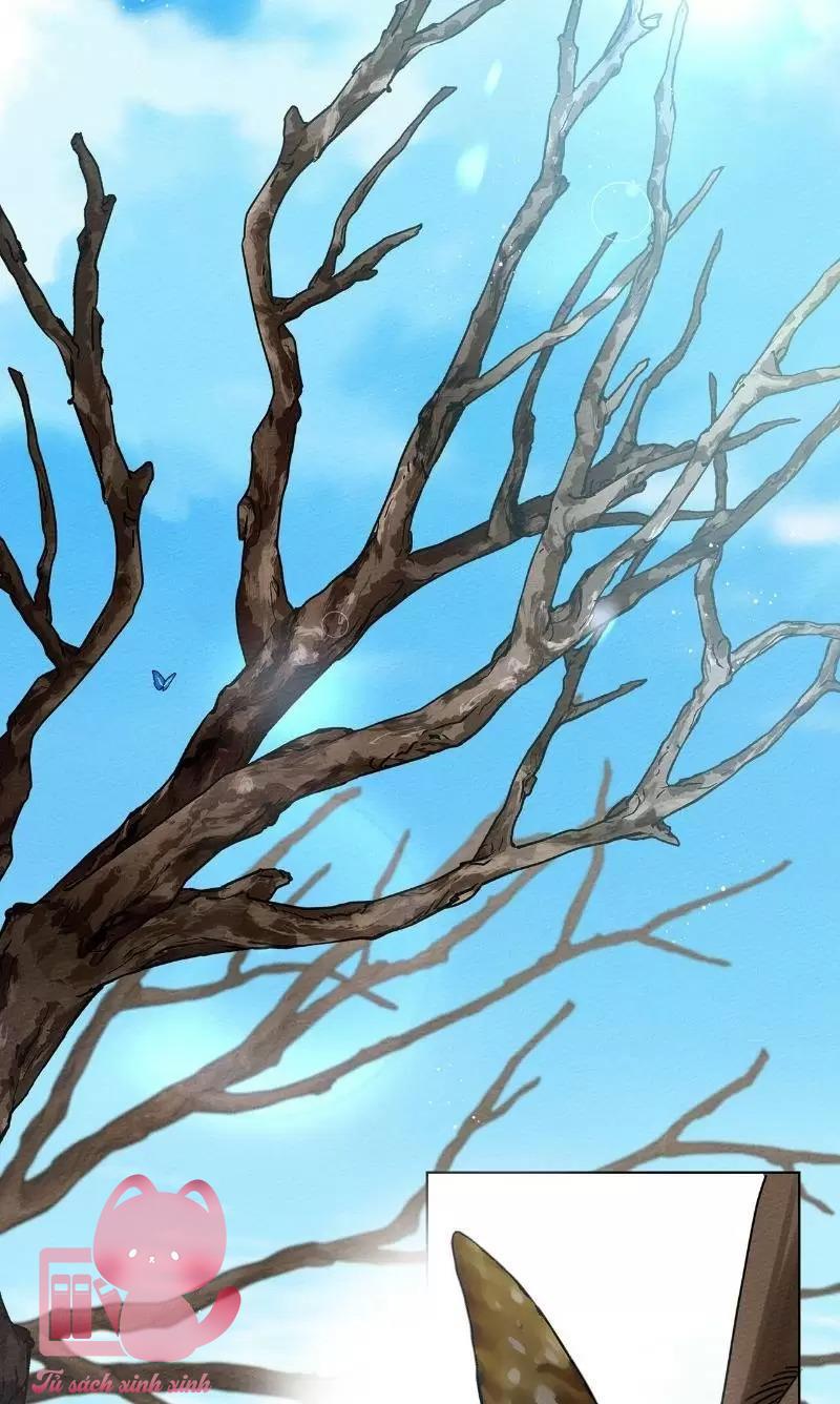 Dưới Tán Cây Sồi - Chap 16