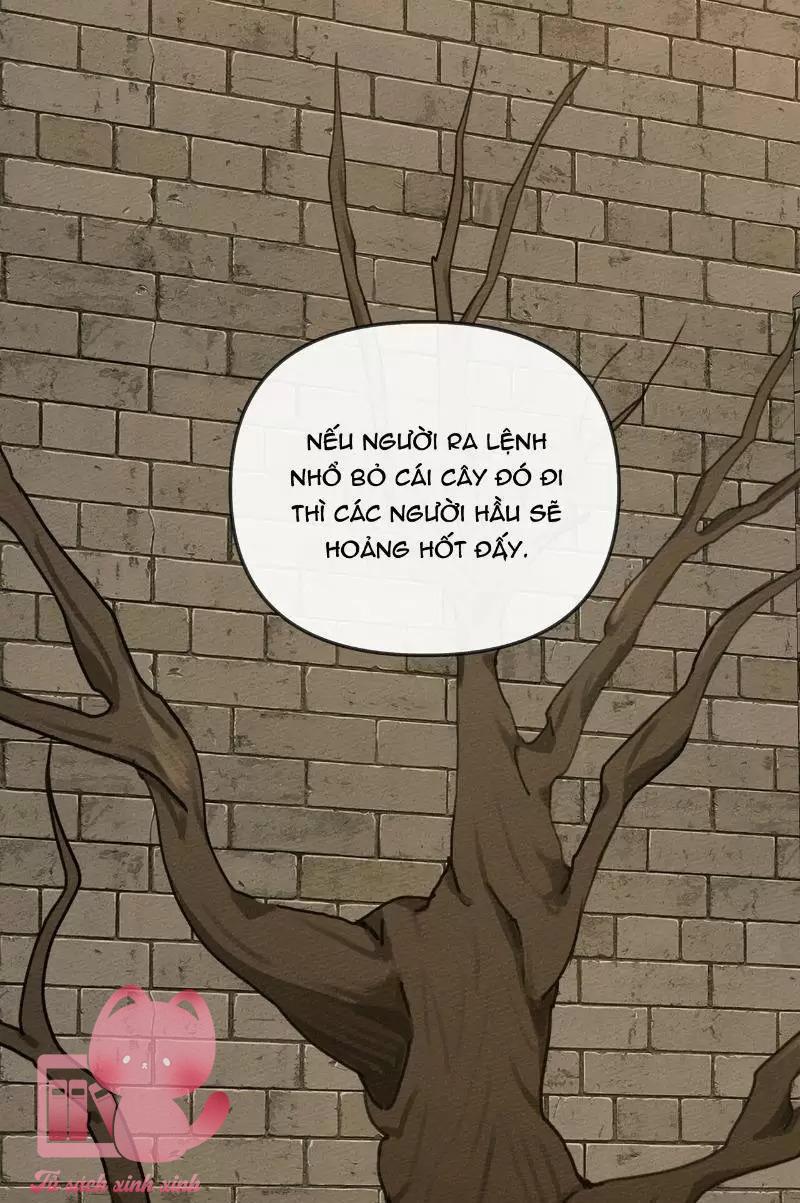 Dưới Tán Cây Sồi - Chap 18