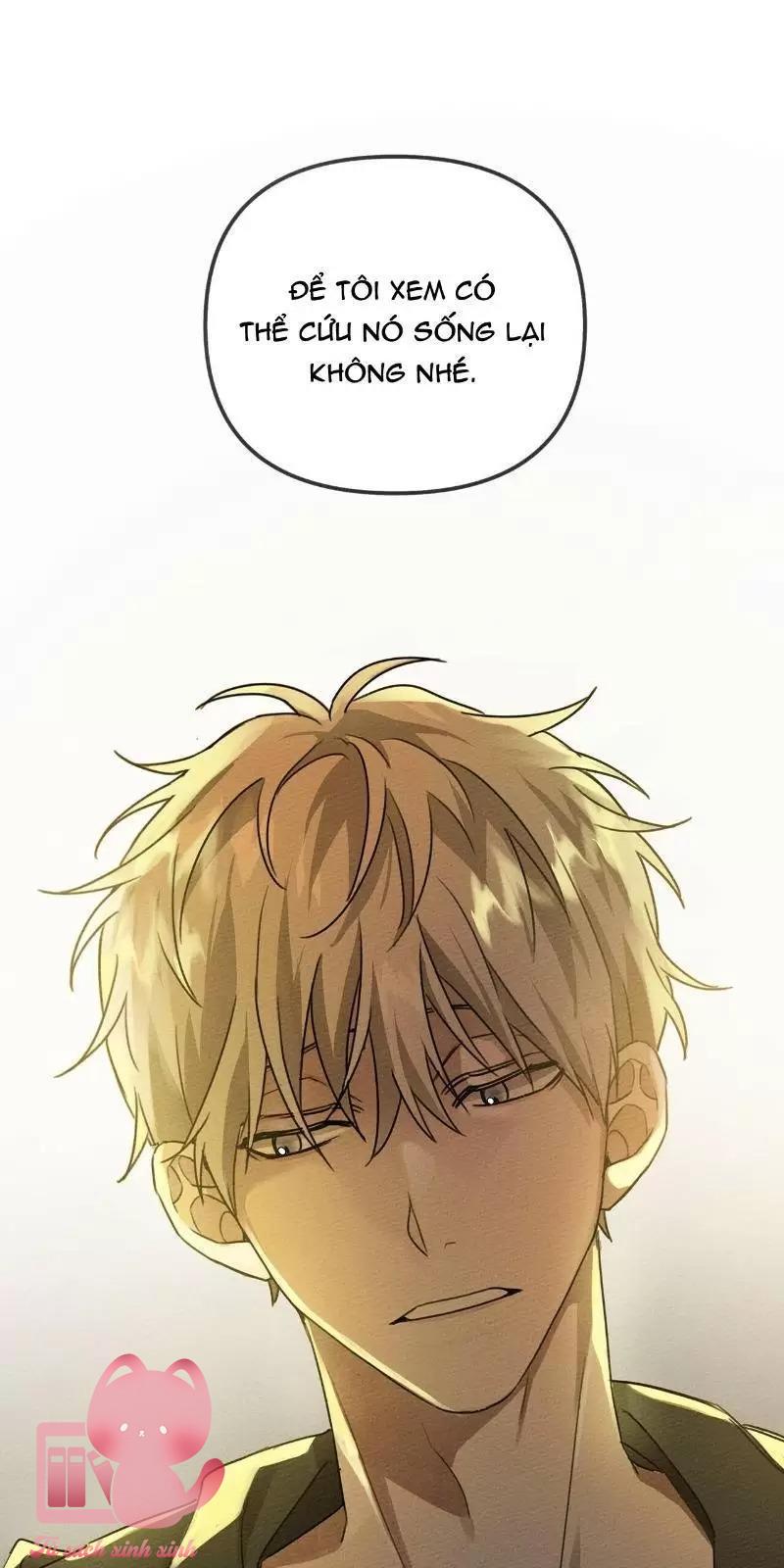 Dưới Tán Cây Sồi - Chap 18