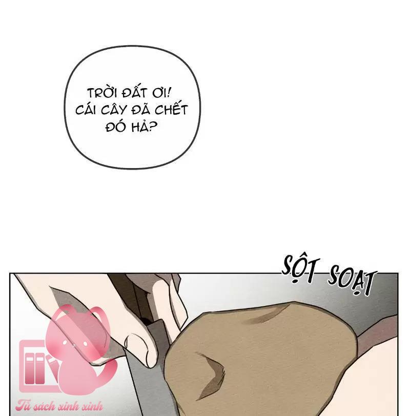 Dưới Tán Cây Sồi - Chap 19