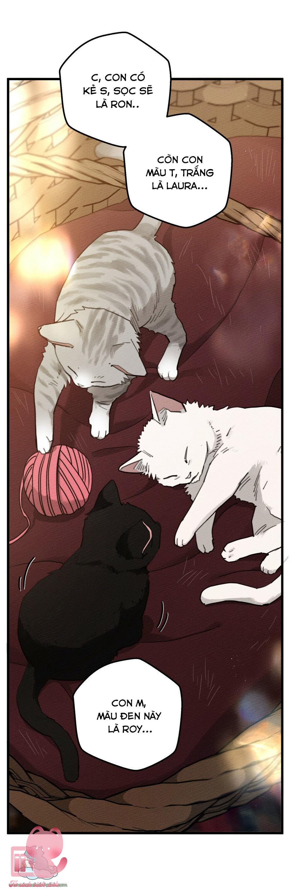 Dưới Tán Cây Sồi - Chap 46