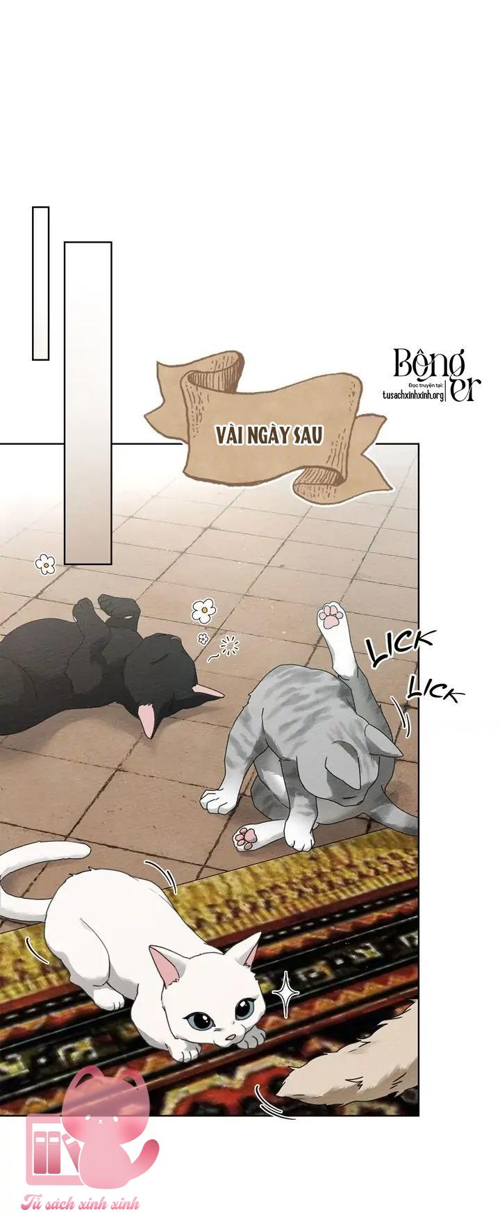 Dưới Tán Cây Sồi - Chap 74