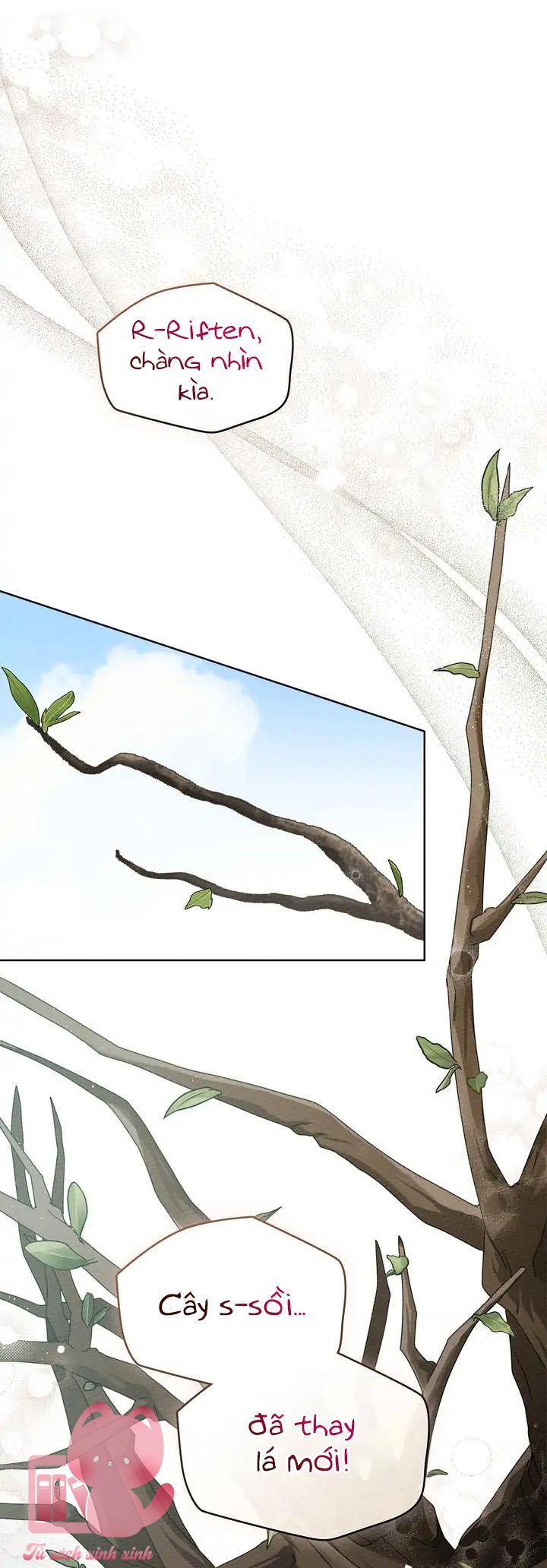 Dưới Tán Cây Sồi - Chap 78