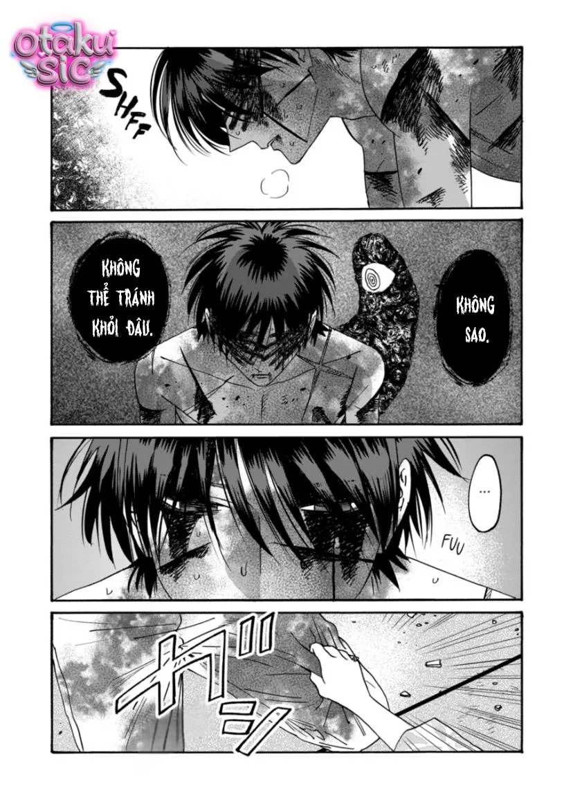 Firefly Wedding - Chap 70 - Trang 15